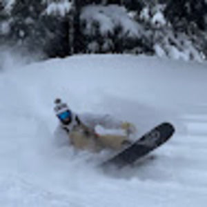 Meet your Posher, Damon